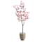 5.5ft. Cherry Blossom Tree in Sand Colored Planter